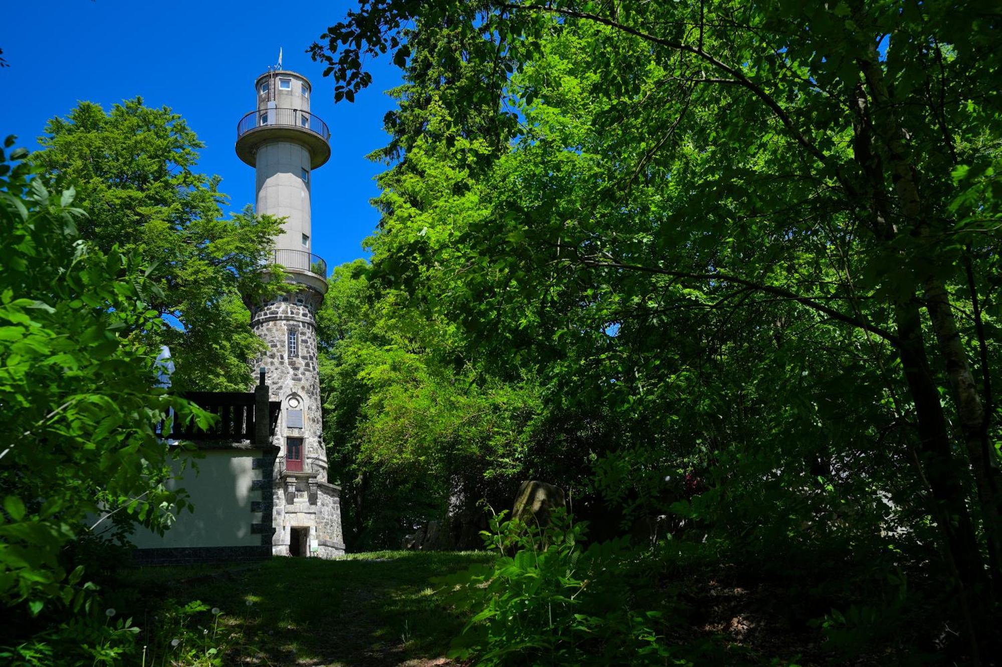 Gasthof Ungerberg Neustadt in Sachsen Exterior foto